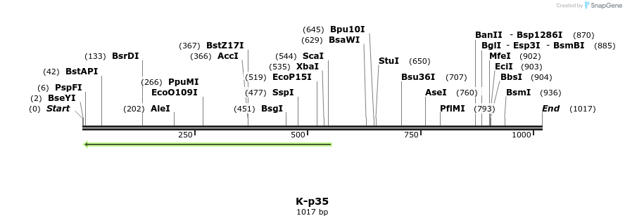 48835_map