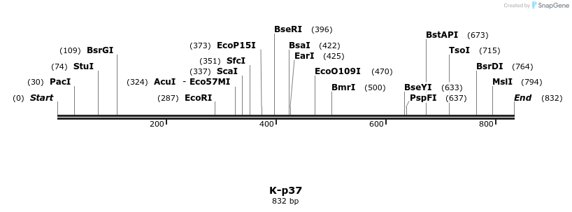 48836_map