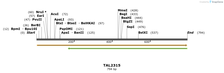 48843_map