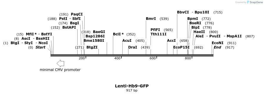 48845_map