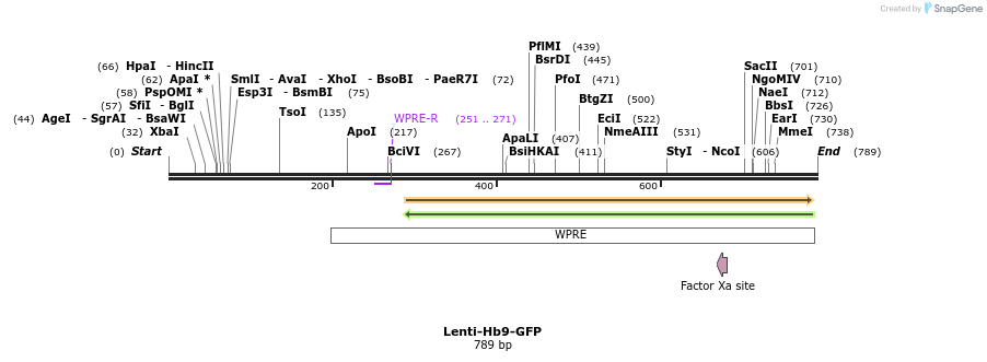 48846_map