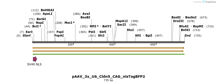 488481_map