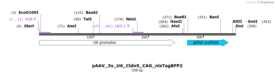 488483_map