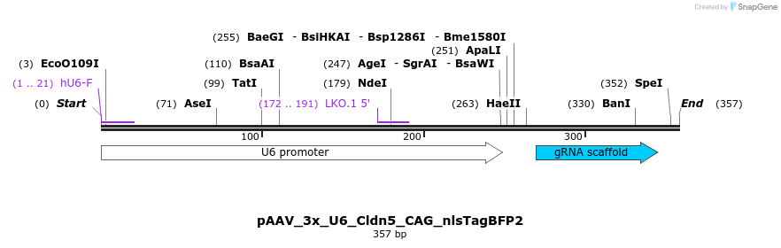 488484_map