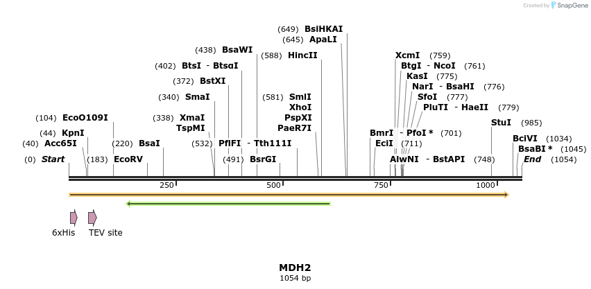 48849_map