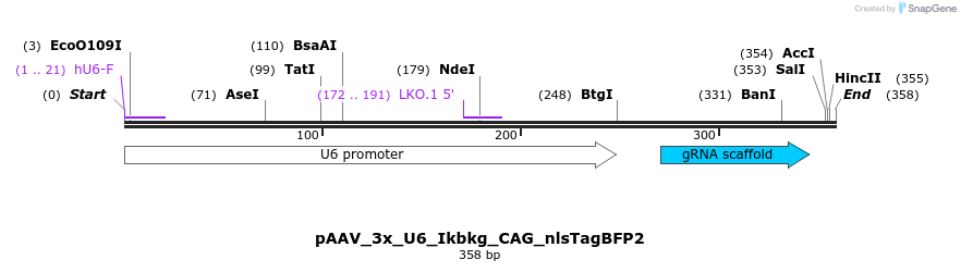 488495_map