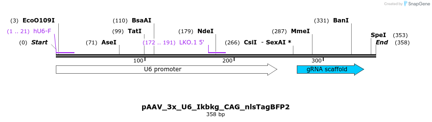488497_map