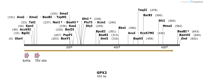 48853_map