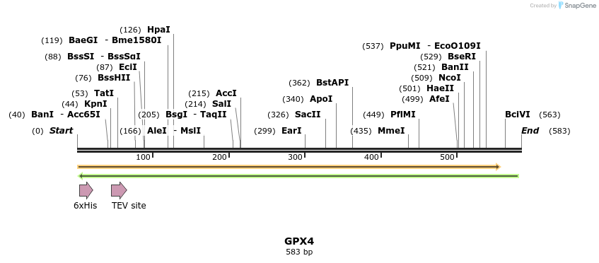 48854_map