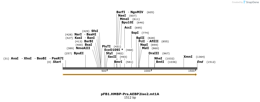 488547_map