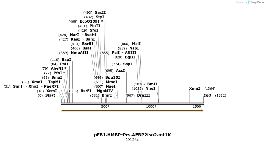 488548_map