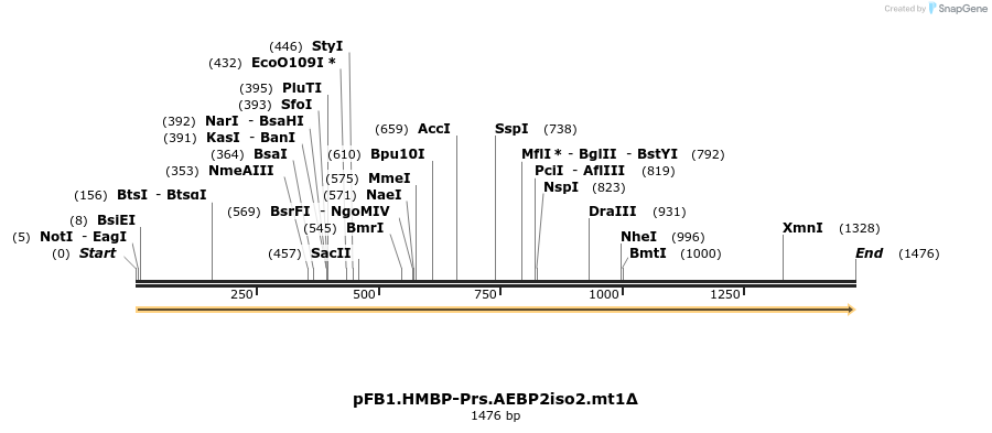 488549_map
