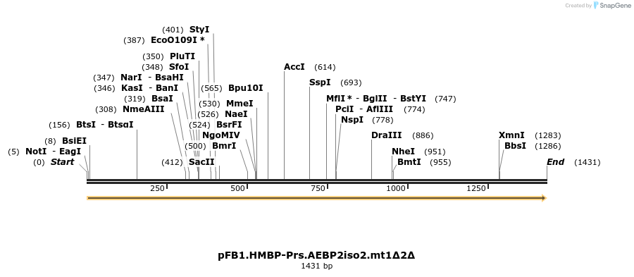 488555_map