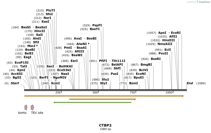 48856_map