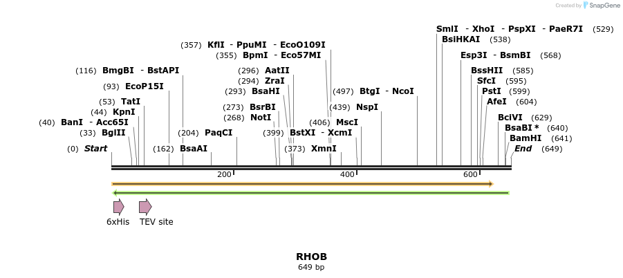 48858_map