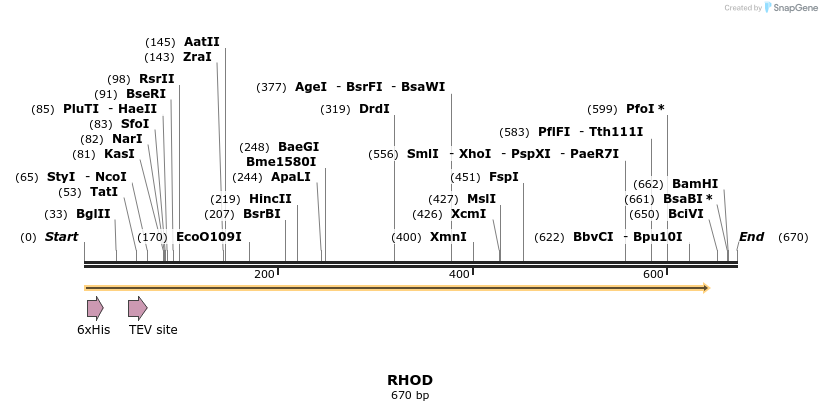 48859_map