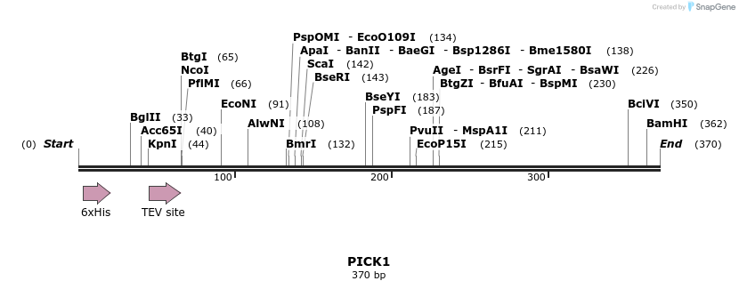 48860_map