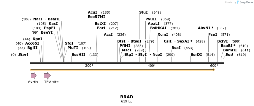 48861_map