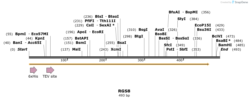48862_map