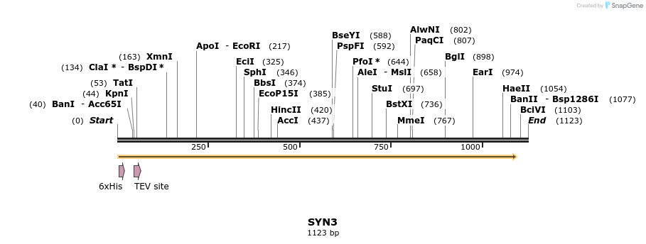 48863_map