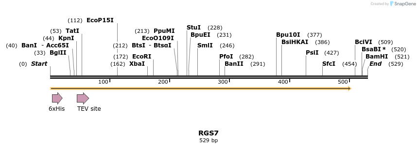 48870_map