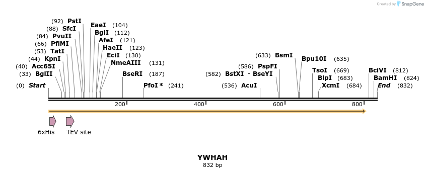 48871_map