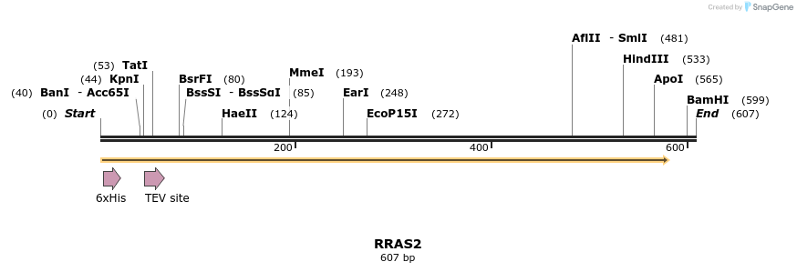 48873_map