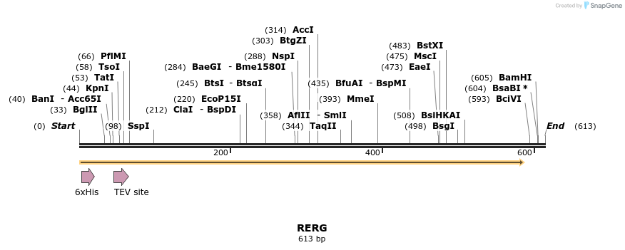 48874_map