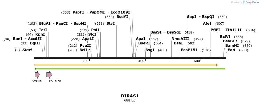 48875_map