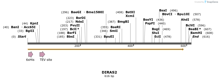 48876_map