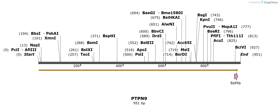 48880_map