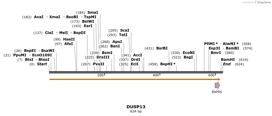 48881_map