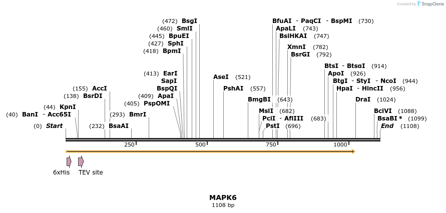 48882_map