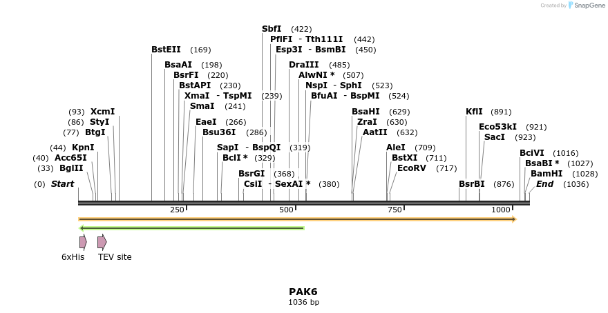 48884_map