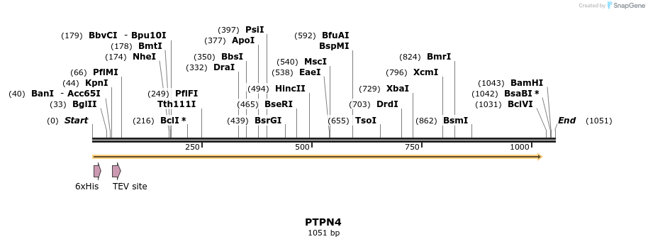 48885_map