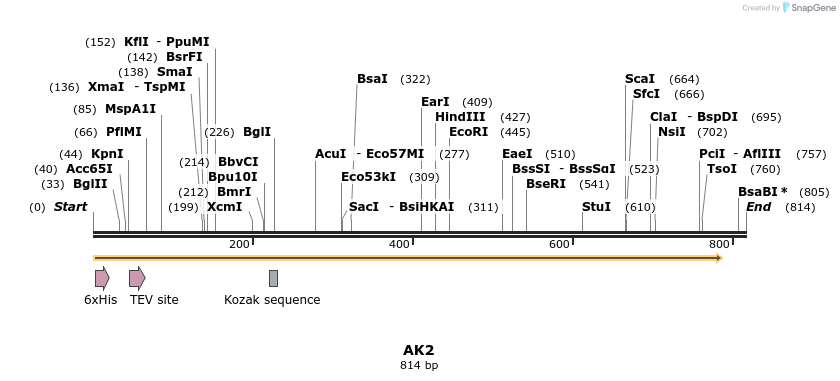 48886_map
