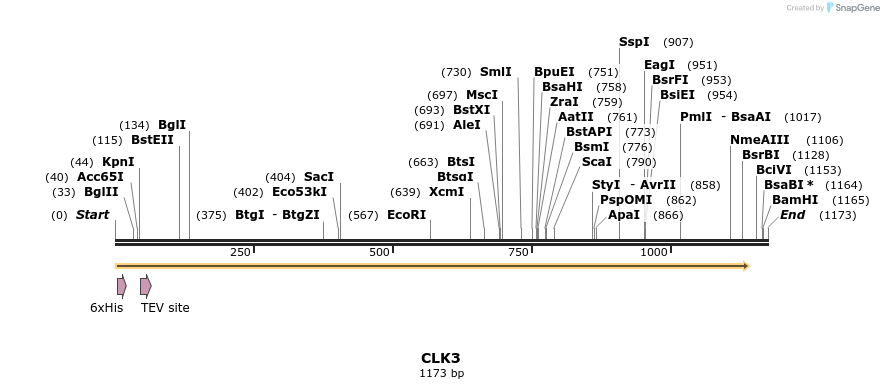 48888_map