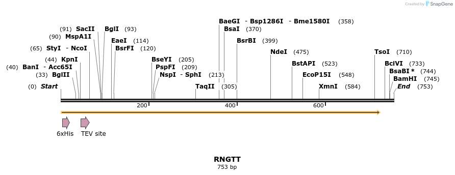 48889_map