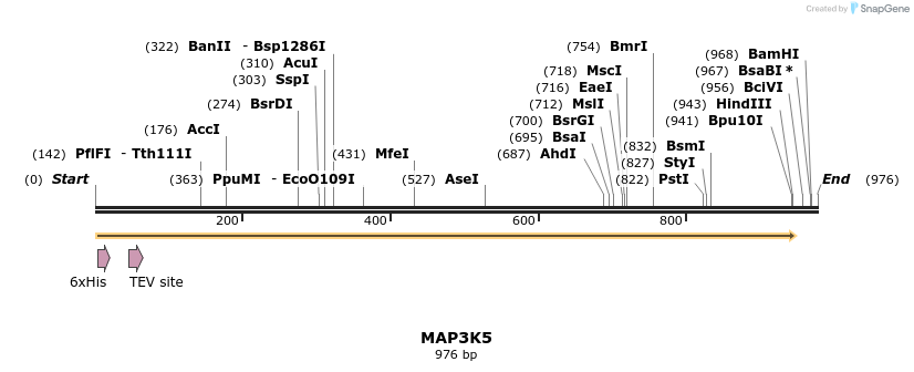 48890_map