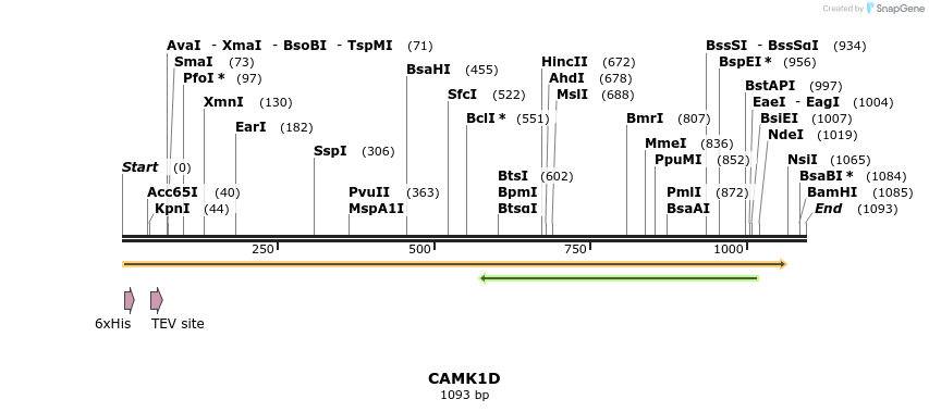 48891_map