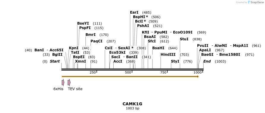 48892_map