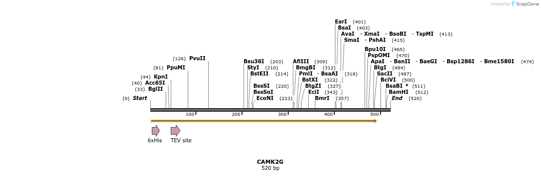 48893_map