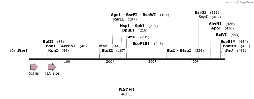 48894_map
