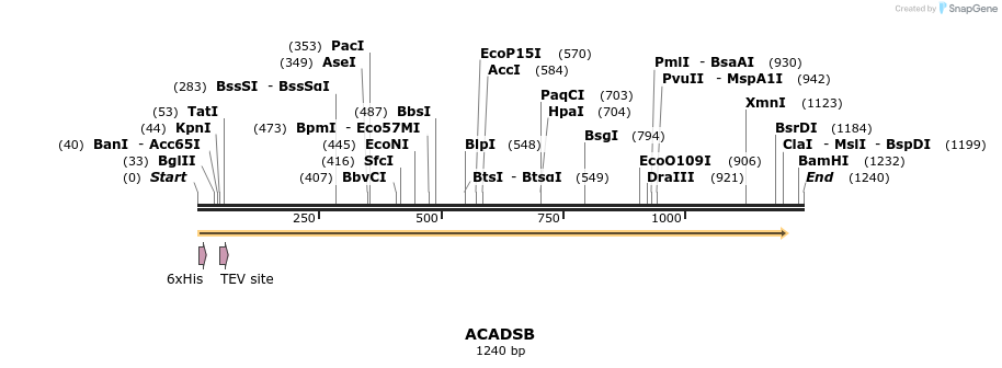 48896_map