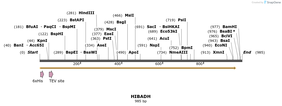 48897_map