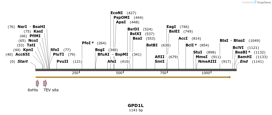 48900_map