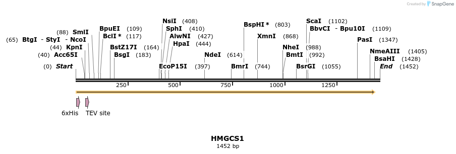 48901_map