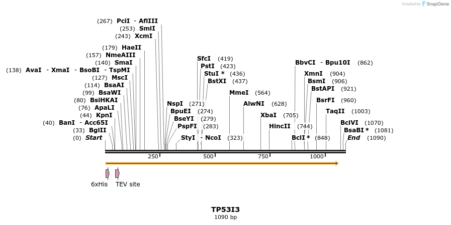 48907_map