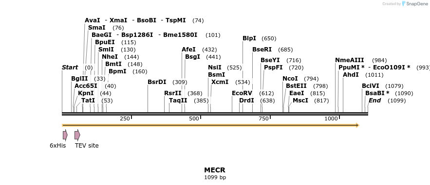 48908_map