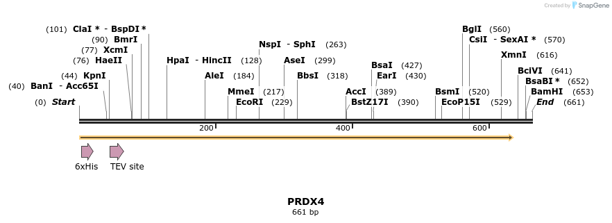 48909_map